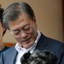 보니토리