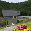 성지태권도 이미지