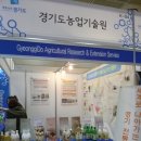 (주)참송엽주