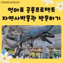공룡프로젝트 서대문 자연사박물관 방문후기 예약 주차 정보