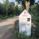 잉스힐 | 식물정원이 가꾸어진 제주 카멜리아힐