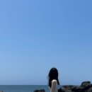 대유목장 이미지