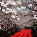 진해구 ⓒ-36 이미지