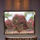 더베스트샾 | 20250117~0118 1박2일 애견동반 제주여행 DAY2 - 맛나식당 갈치조림 / 제주 유채꽃밭 / 아줄레 / 훈식이...