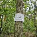 12월13일 낙남정맥 3구간 산행안내(백토재-솔티고개)대전 맥길산악회 연계산행 이미지