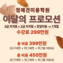 개인정애견샵 이미지