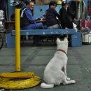 들풀한의원 이미지