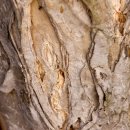 힐링탑테라피 이미지