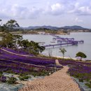 신안별빛 이미지