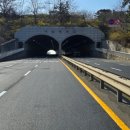 동국정비 이미지