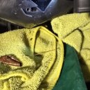 원크리닝 | 부산에바크리닝 에바청소 혼다파일럿 시공후기