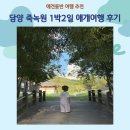 화창운수 | 담양 1박2일 애개여행, 죽녹원 맛집부터 애견동반 카페, 숙소까지(feat. 조아당)