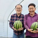 현대자동차㈜대구서비스센터 이미지