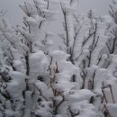 사람이 꽃보다 아름다워 이미지