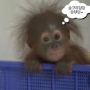 하늘참숯화로구이 이미지