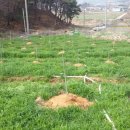 자담농장 이미지