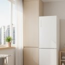 40-C | 삼성 BESPOKE AI 1도어 냉장고 RR40C7985AP 솔직 후기