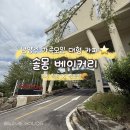 연하카페 | 남양주 데이트 코스 솔몽 베이커리, 가족모임 가능한 카페 브런치 후기 (애견동반)