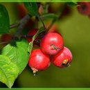 아케이드 뮤직 이미지