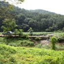 명노환농장 이미지