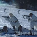 평창황병산사냥민속 | 체력] 韓美, "해병대·英 코만도 등 '특수부대원들'"--" 황병산 등지서 혹한기 동계 설한지 훈련 실시"