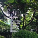 서운야외공연장 이미지