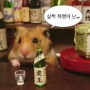 현준농장 | 얼레벌레 지역 농협 도전기🌾-서류 합격