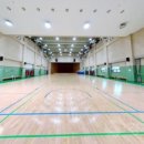 능소화꿈나무 이미지