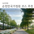 엔제리너스커피순천 | 순천만국가정원 5월 방문 팁 l 저녁 산책 코스, 포토존, 통합권 입장료, 운영시간