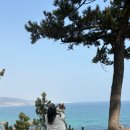 올레애견펜션 | 포항, 운동장이 있는 애견동반숙소 올레애견펜션