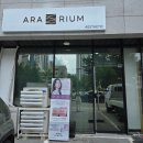 112901-가015-6 | 옥정동 두피관리 아라리움 시원함이 무릉도원이에요 완전 추천 후기