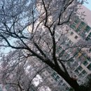 아진세탁소 이미지