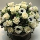Flower늘봄 이미지