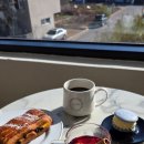 고운동아침 | 세종 아침 8시 오픈! 고운동 카페 햇살 가득한 컨티뉴커피