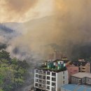 대구팔달초등학교 이미지