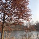 군산탱크조개짬뽕 이미지