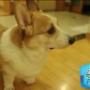 똘똘이농장 이미지