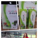불사조농장 네이버블로그