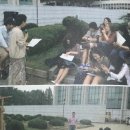 백양로 티스토리