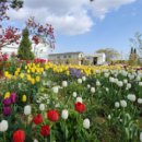 종영농장 이미지