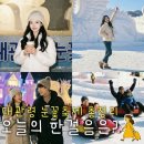 국가대표펜션 | 대관령 눈꽃축제 2026 위치 가는법 기간 입장료 눈썰매 할인 방법 예약