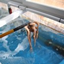 마산식당 이미지