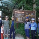 오랍드리 이미지