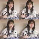 전희선미용실 | 쓸모없는 선물로 딱인 블로그