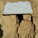 고노골농장 이미지