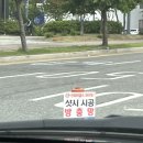 세원농장 | 2025년의 5월 중반😏 / 곡성세계장미축제