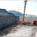 송학초등학교 앞 이미지