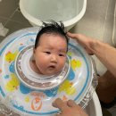 (주)진튜브 | 신생아 물놀이 시기 목튜브와 장난감 준비 후기 및 주의점