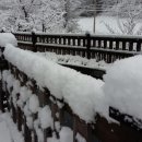 시실리펜션 이미지