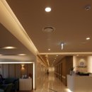 신정로203번길L | 용인 수지구 라벤더힐병원 자연친화 병원 면역치료 1박2일 입원 후기